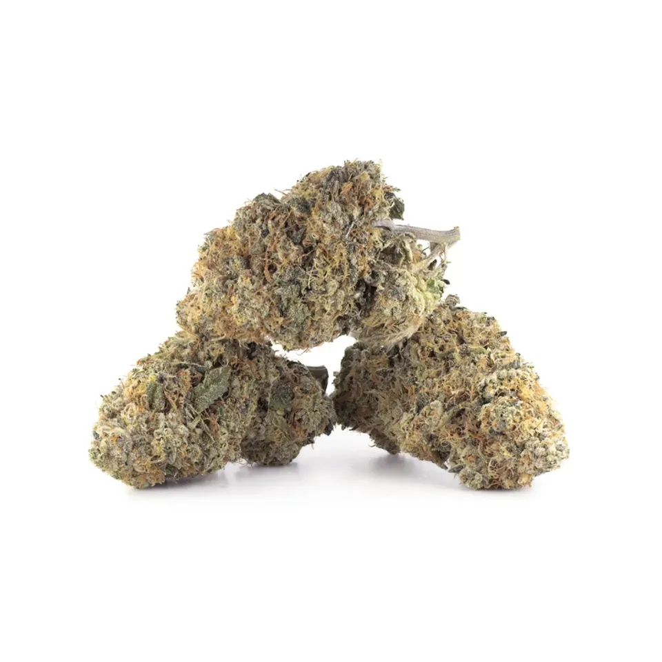 Fiori CBD OG Kush – Indoor Cannabis – vista principale
