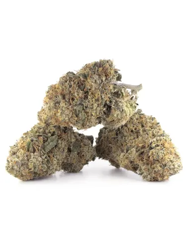 %product-name% principal