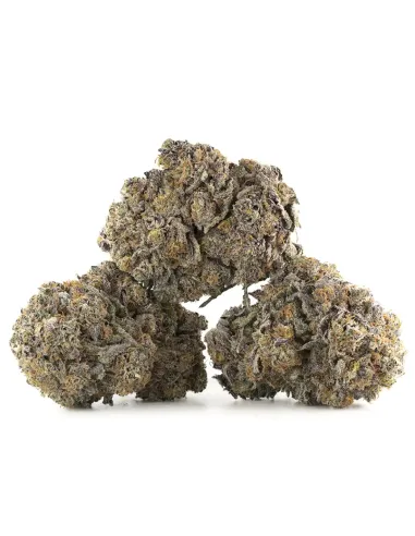 %product-name% principal