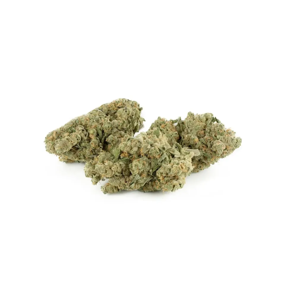 Fiori CBD Swiss Cheese – Indoor Cannabis – vista principale