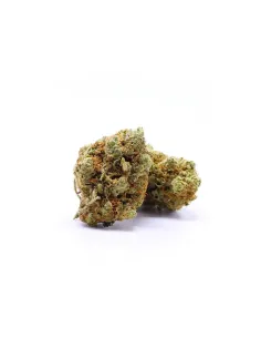 Fiori CBD Skittlez – Indoor Cannabis – vista principale