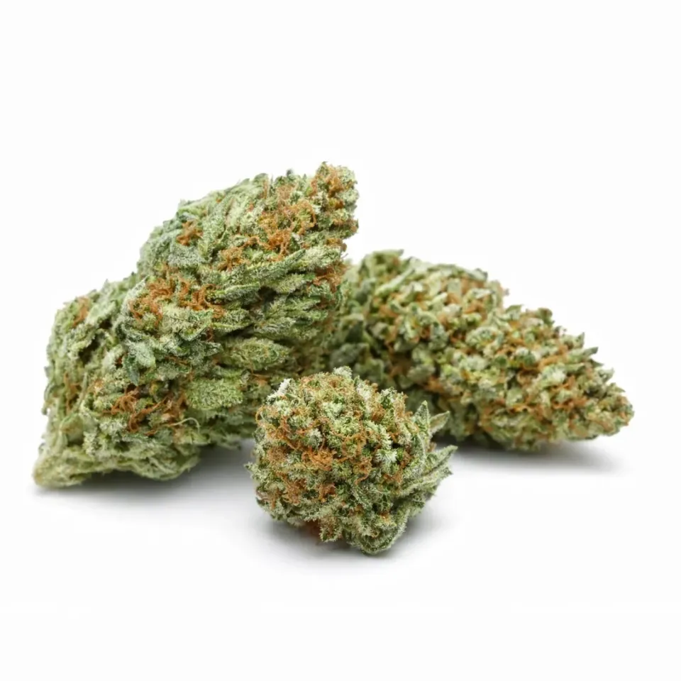 10-OH-HHC Blüte Blueberry – main de