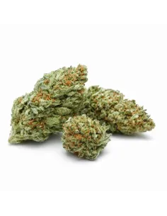 10-OH-HHC Fiore Blueberry – vista principale