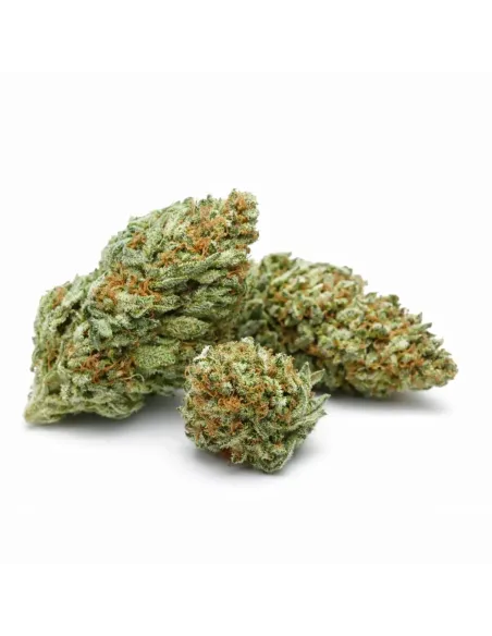 10-OH-HHC Fiore Blueberry – vista principale