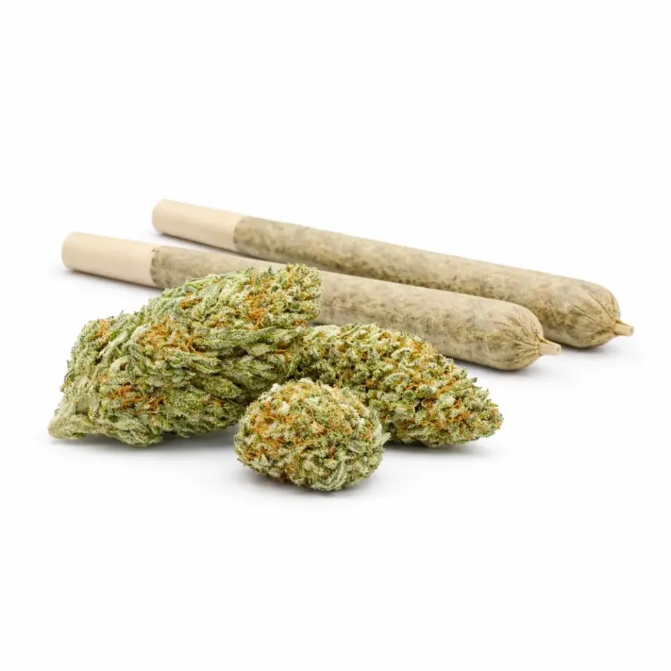 Pre-Roll 10-OH-HHC Fiore Blueberry – vista principale