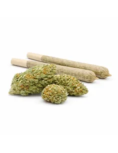 Pre-Roll 10-OH-HHC Fiore Blueberry – vista principale