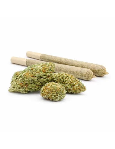 %product-name% principal