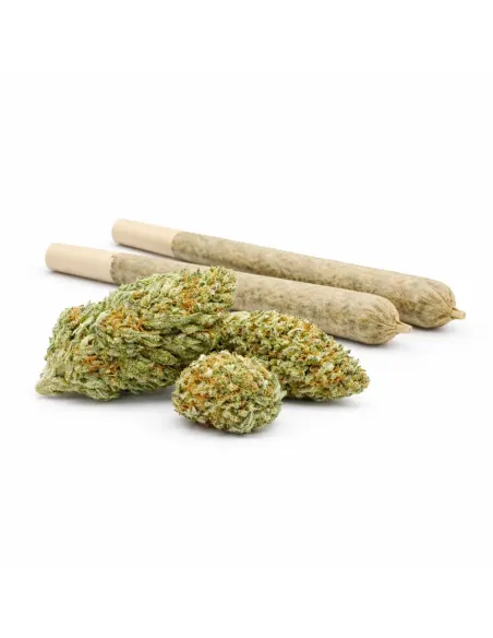 Pre-Roll 10-OH-HHC Fiore Blueberry – vista principale