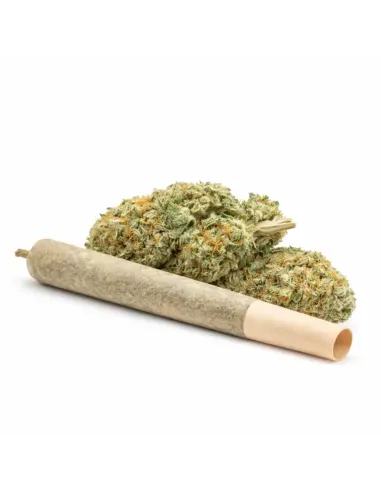 %product-name% Hauptansicht