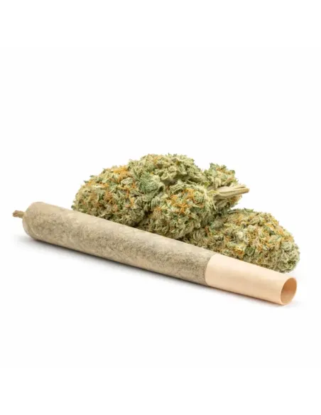 %product-name% principal