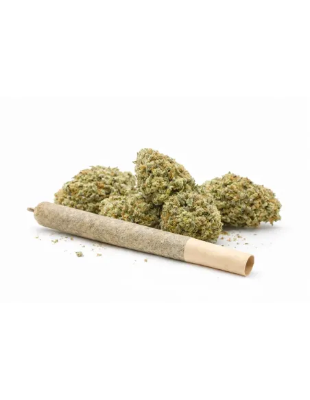 Pre-roll 10-OH-HHC Fiore Sorbetto – vista principale