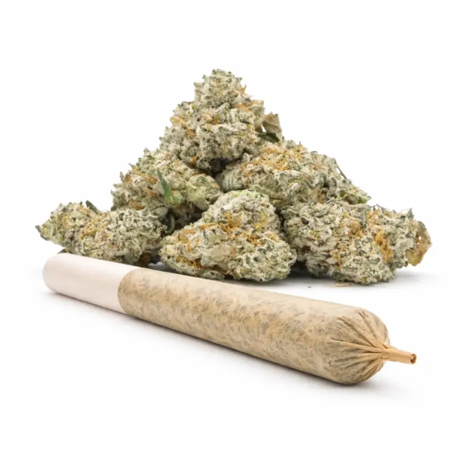Pre-Roll 10-OH-HHC Fleur Sugar Cream – vue principale