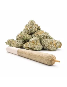 Pre-Roll 10-OH-HHC Fiore Sugar Cream – vista principale
