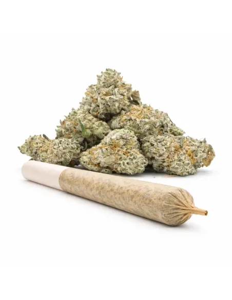 Pre-Roll 10-OH-HHC Fiore Sugar Cream – vista principale