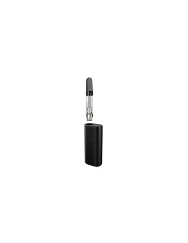 %product-name% main de