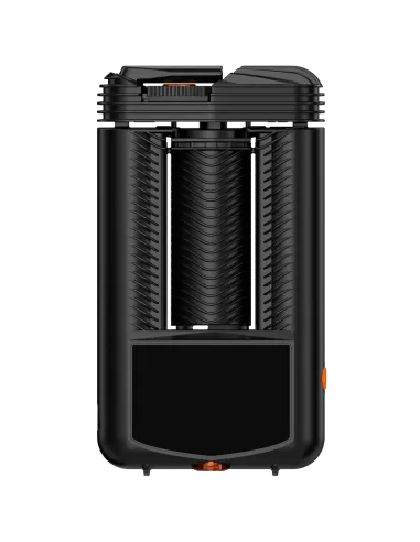 %product-name% back de