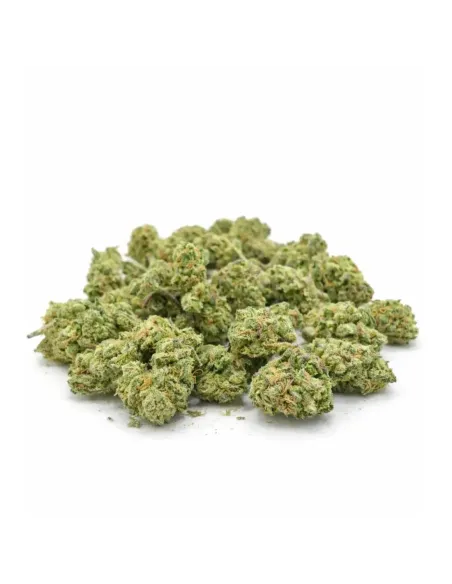 Fleur Black Diesel Small Buds 𝗚𝗕𝗭