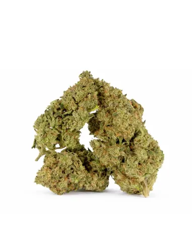 Blüte King Kong 𝗚𝗕𝗭+ – Premium‑Blüten & Wirkung | GBZ420