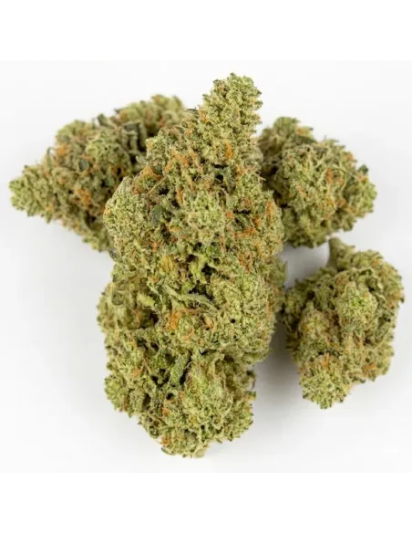 Fleur King Kong 𝗚𝗕𝗭+ – Fleur premium & effets | GBZ420