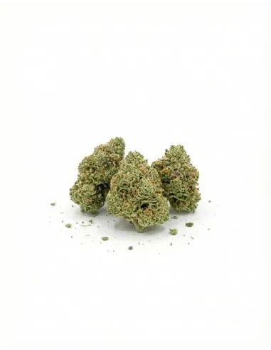 %product-name% little buds