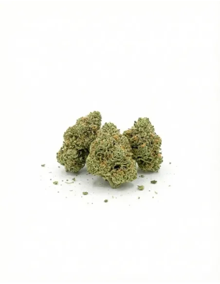 %product-name% little buds