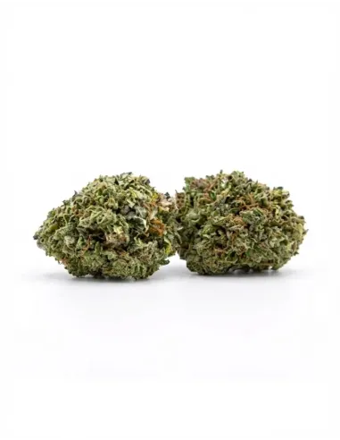 %product-name% buds
