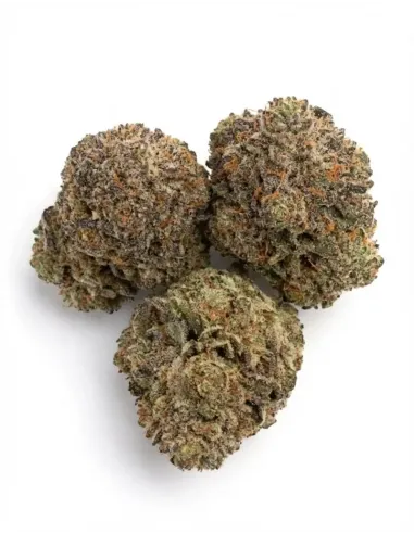 Flower Skywalker OG 𝗚𝗕𝗭+ – top