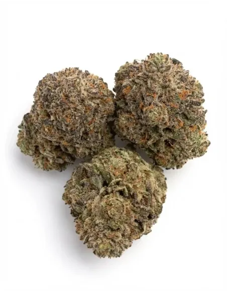Blumen Skywalker OG 𝗚𝗕𝗭+ – Oberseite
