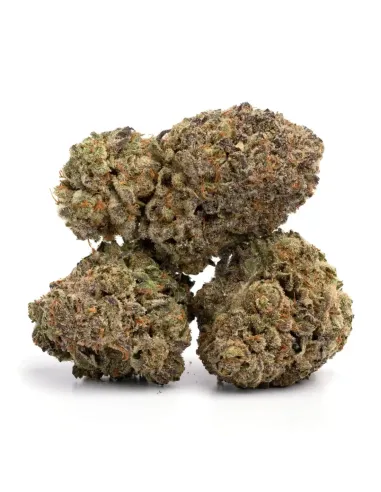 Flower Skywalker OG 𝗚𝗕𝗭+ – main view
