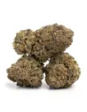 Blumen Skywalker OG 𝗚𝗕𝗭+ – Premium‑Blüten & Wirkung | GBZ420