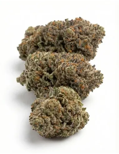 Fleur Skywalker OG 𝗚𝗕𝗭+ – côté