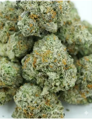 %product-name% closeup