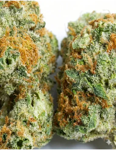 %product-name% closeup