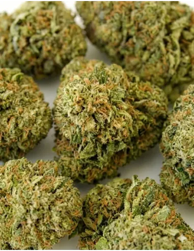 %product-name% gros plan