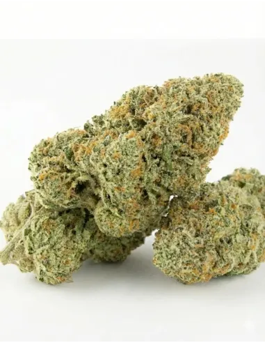 %product-name% Seitenansicht