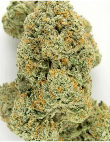 %product-name% closeup