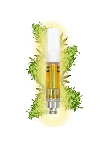 %product-name% Amnésie