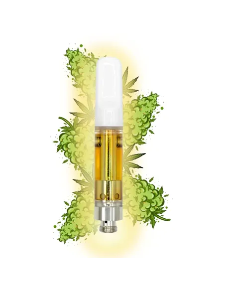 %product-name% Amnesie