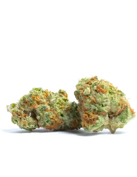 %product-name%Hauptansicht