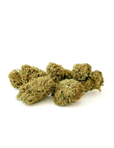 10-OH-HHC Blumen Sorbetto – Premium‑Blüten & Wirkung | GBZ420