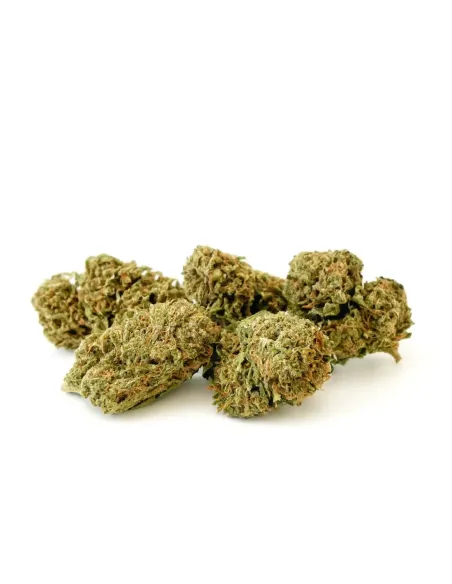 10-OH-HHC Blumen Sorbetto – Premium‑Blüten & Wirkung | GBZ420