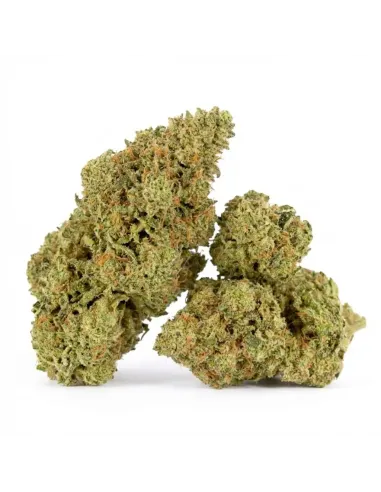 %product-name%Hauptansicht