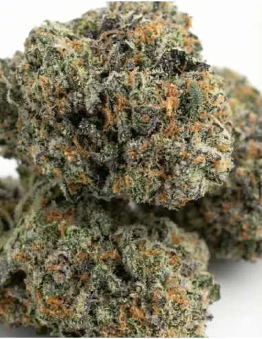 %product-name% gros plan