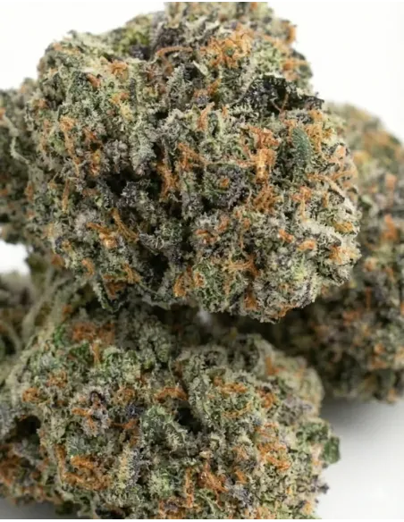 %product-name% Nahaufnahme