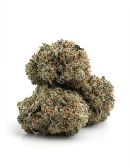 %product-name% Seitenansicht 2