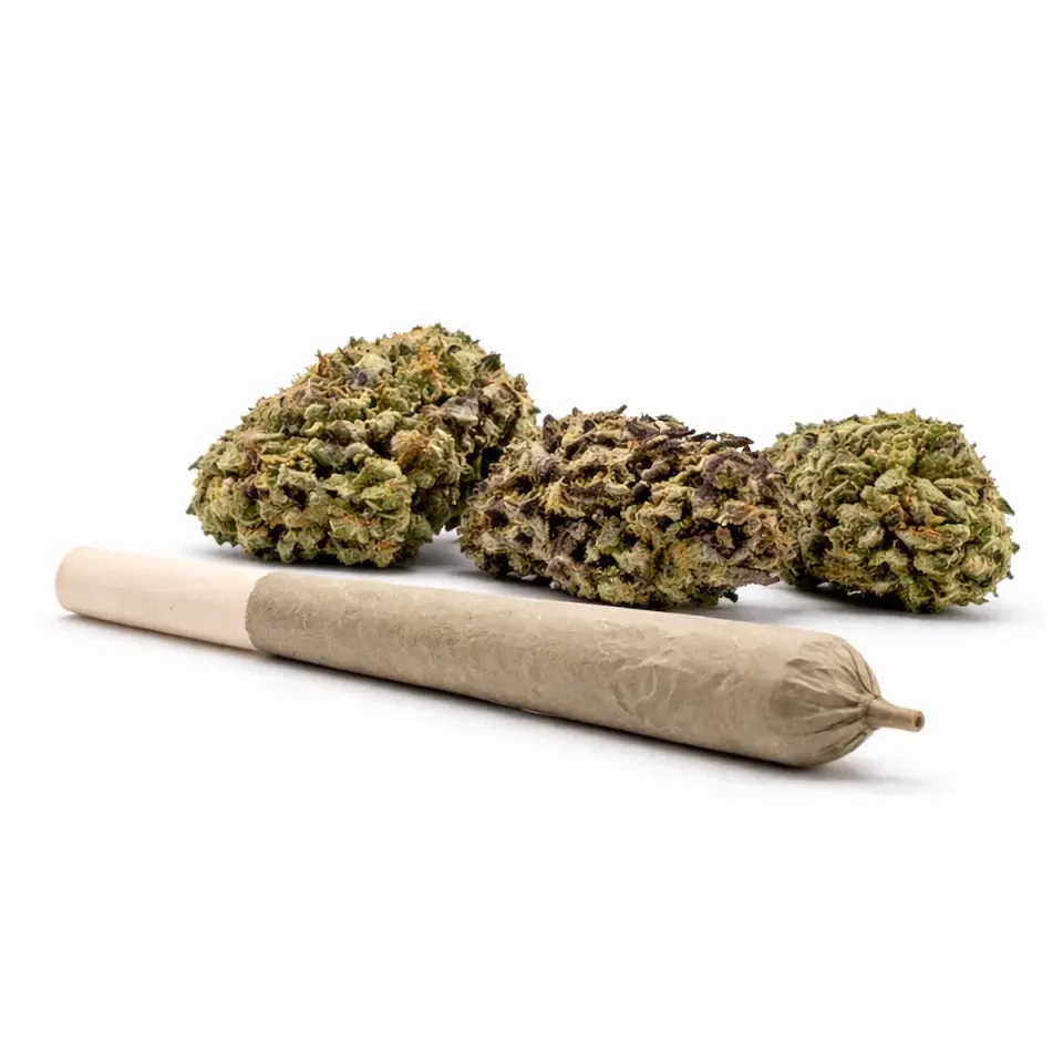 Pre-roll GBZ+ – side