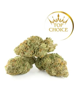 %product-name% Hauptansicht