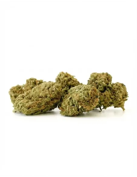 Pack CBD Olio 30% + 3 Fiori – lato