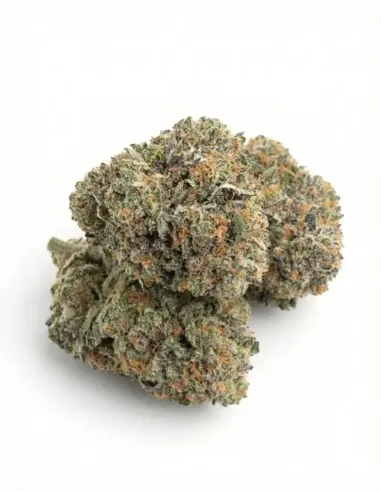 %product-name% herb2