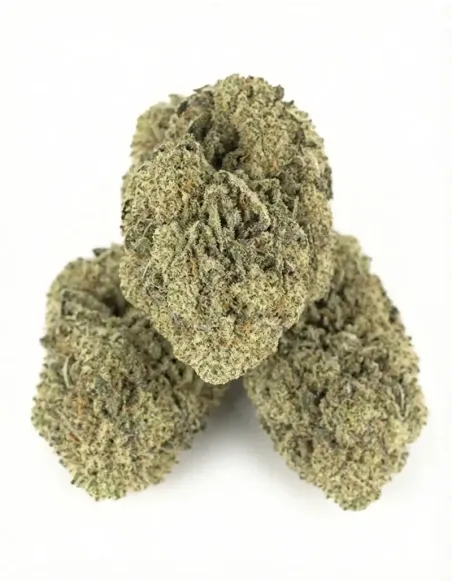 Fiori CBD Amnesia – Indoor Cannabis – lato